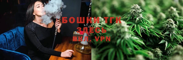 хмурый Лиски