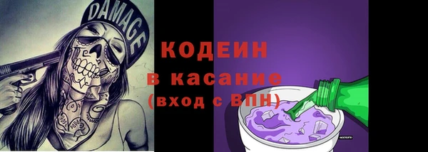 хмурый Лиски
