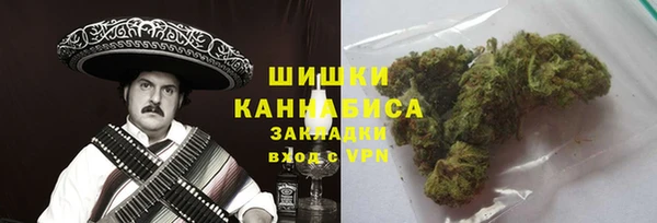 хмурый Лиски