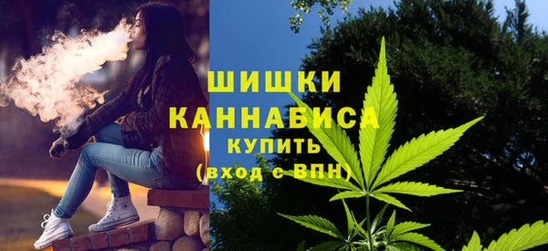 хмурый Лиски