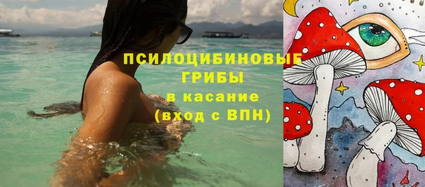 хмурый Лиски