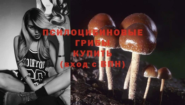 СК Лихославль